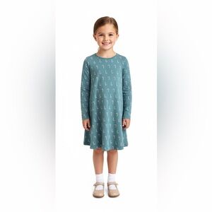 Hanna Andersson Holiday Print Dress